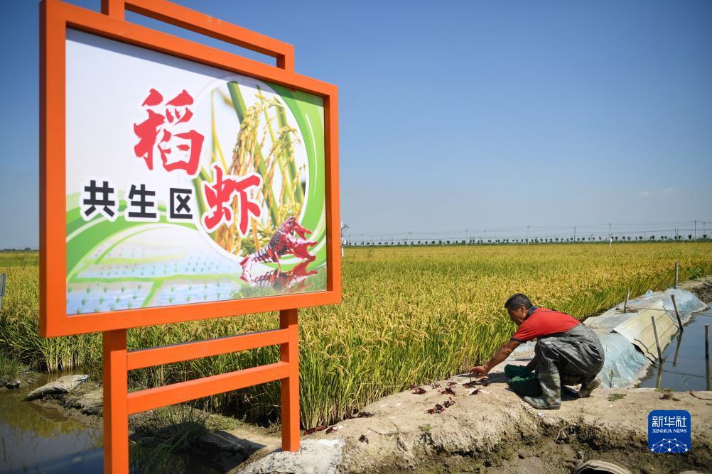 免费申请彩金
